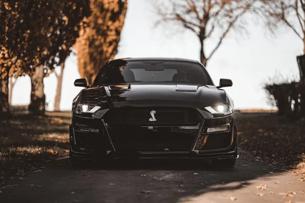 Καζίνο Γκολντεν Παλασε Εφαρμογή Android/iOS